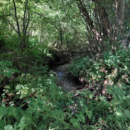 Teodor Horská chata *